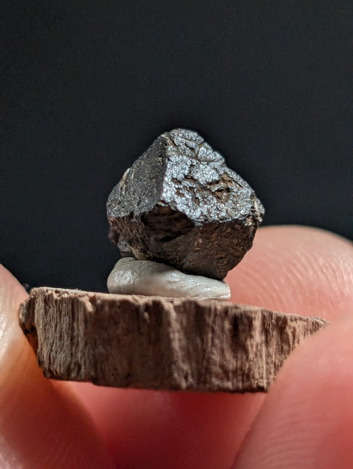 Magnetite crystal, Magnet Cove, Hot Spring Co. Arkansas, Old Stock, + wood stand