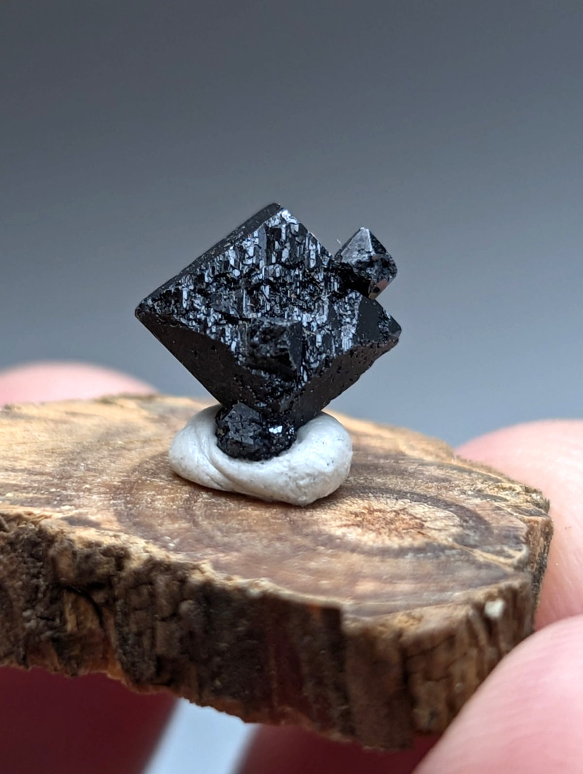 A+ Brookite Crystal, Magnet Cove, Arkansas, Old Stock, + wood stand