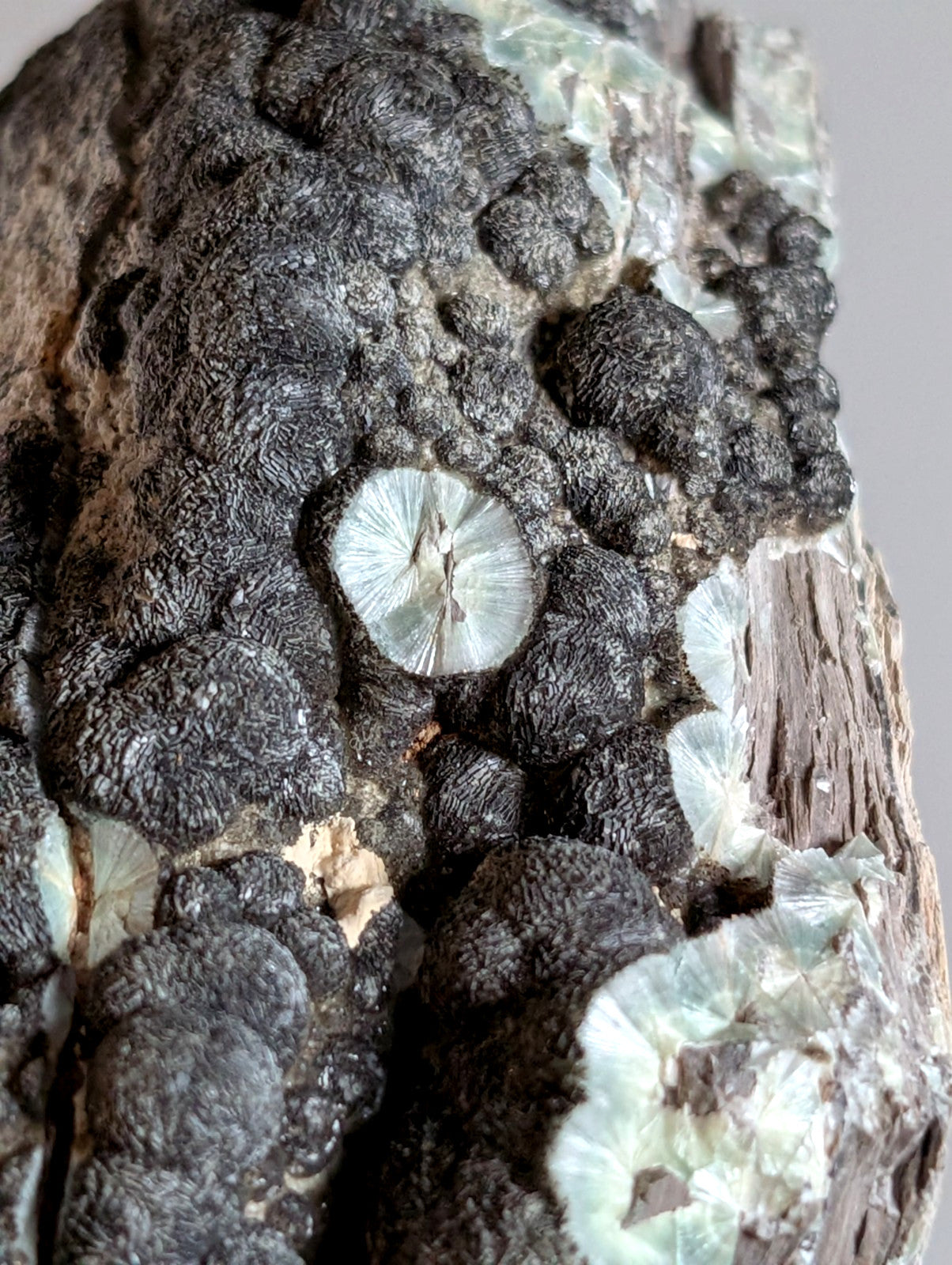 Black Wavellite - Fantastic Old Stock - Mauldin Mountain, Arkansas, USA, Rare