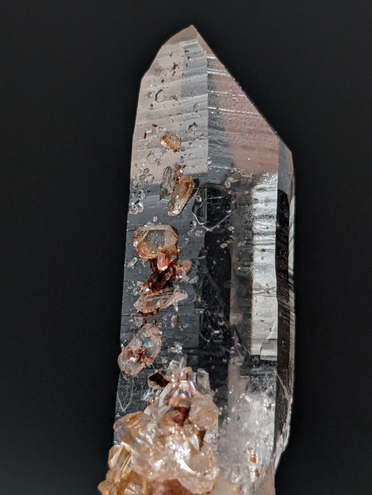 A+ Clear Quartz Crystal Point, Montgomery County, Arkansas, w/ natural wood base