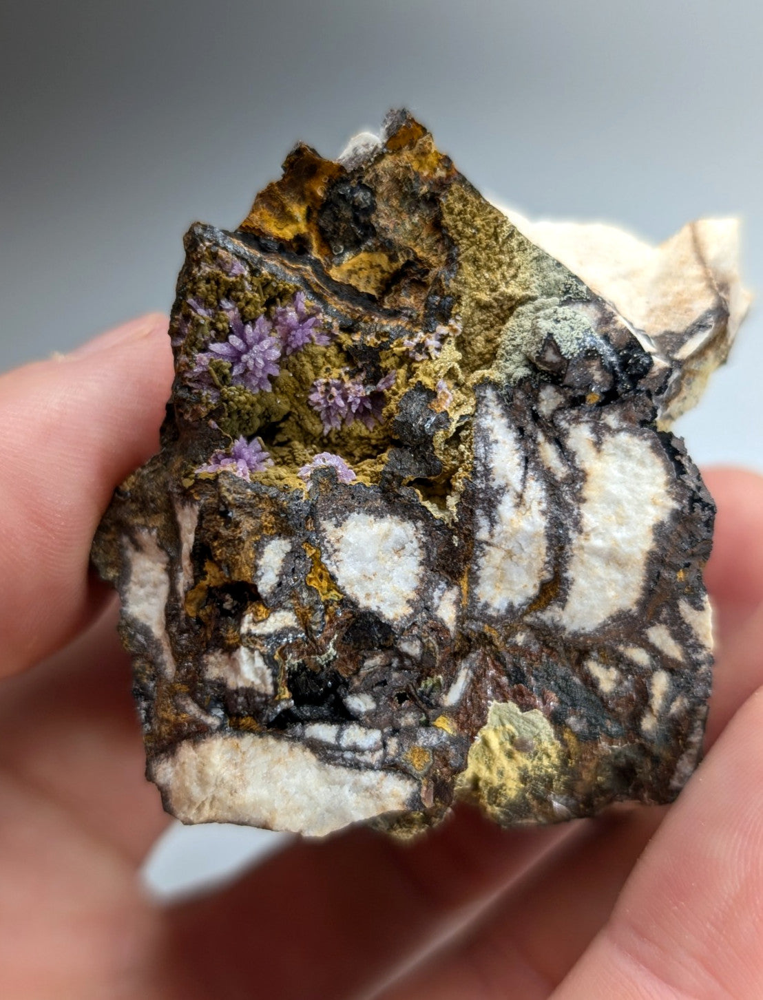 Super Rare Strengite + Kidwellite, etc, Coon Creek Mine, Polk Co, Arkansas, A+++