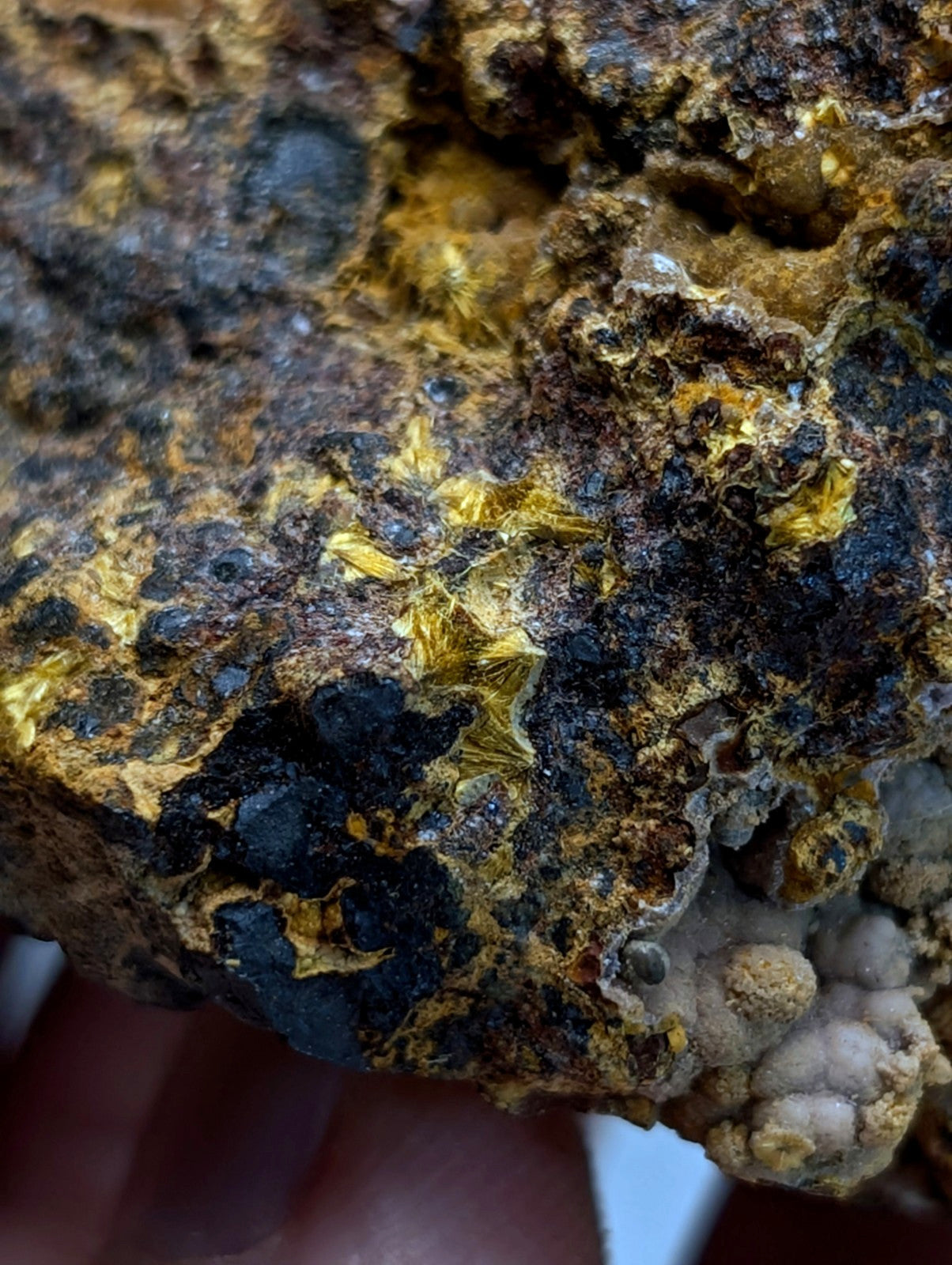 Super Rare Strengite + Cacoxenite, etc, Coon Creek Mine, Polk Co, Arkansas, USA