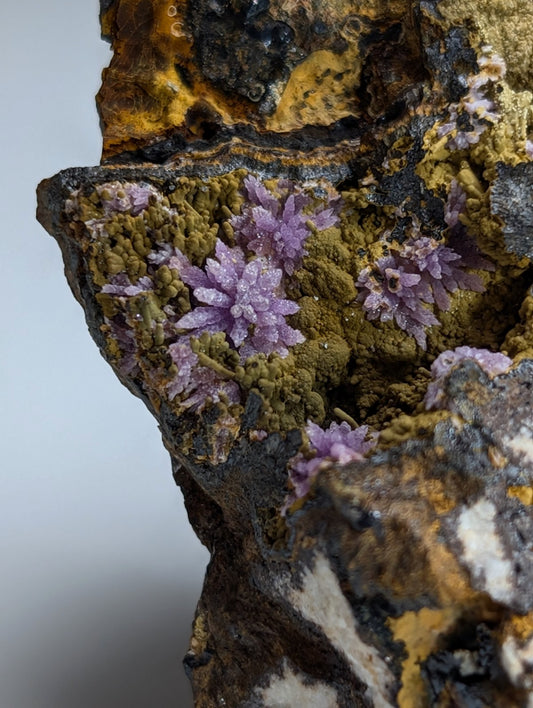 Super Rare Strengite + Kidwellite, etc, Coon Creek Mine, Polk Co, Arkansas, A+++