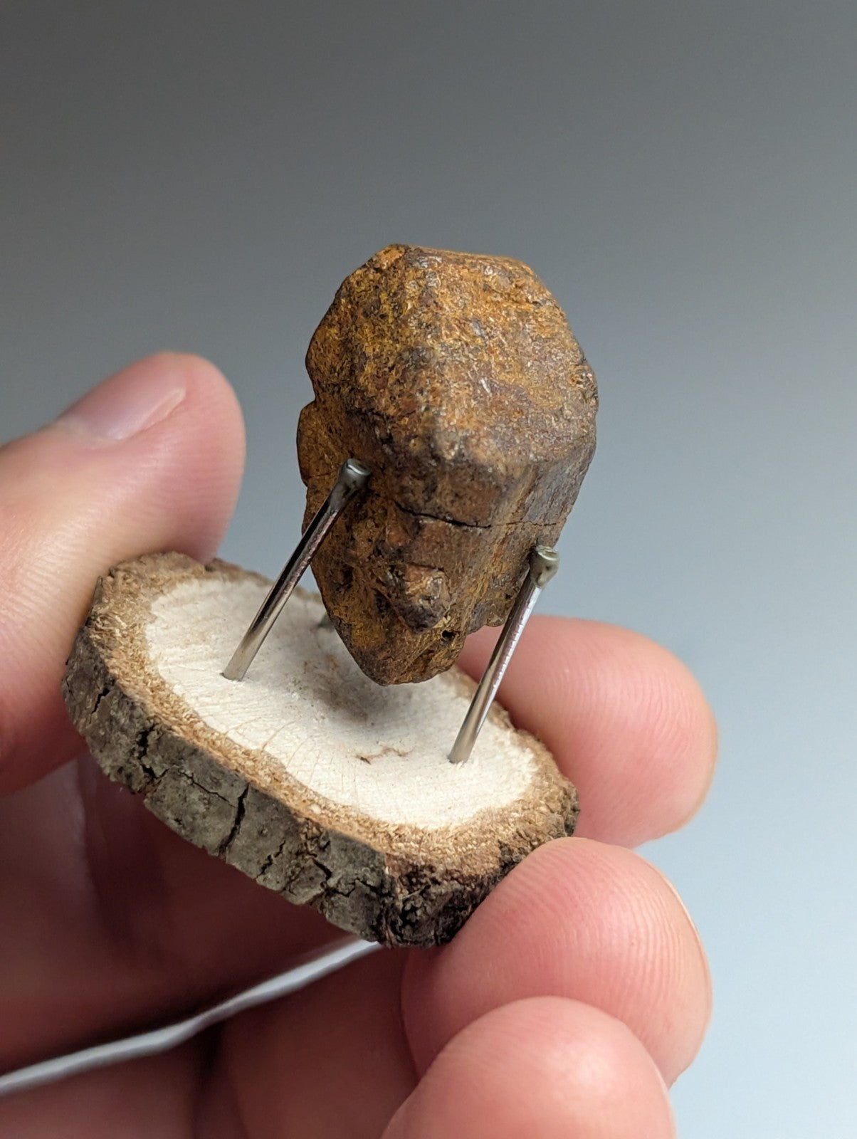 Goethite after Pyrite Pseudomorph, Magnet Cove, Arkansas,  w/ natural wood stand