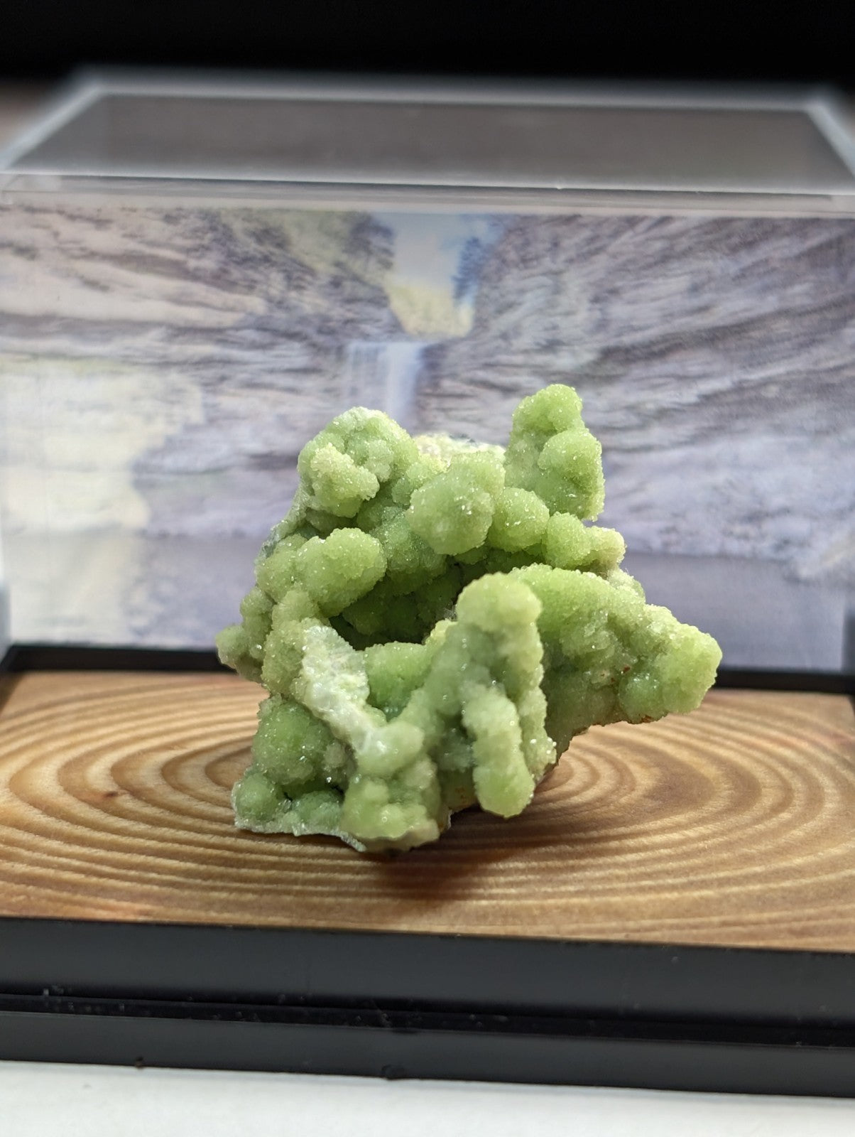 A+ FluorWavellite, w/ wood mount + photo case - Montgomery County, Arkansas