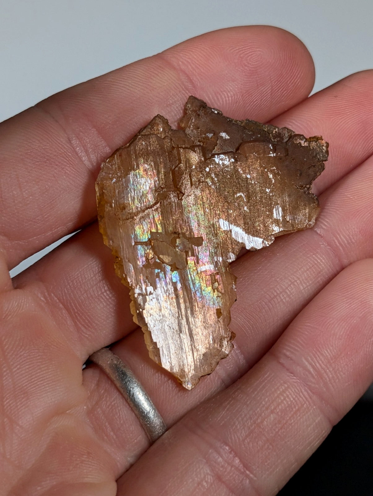 Rare Faden Sheet Quartz Crystal w/ Rainbows, Garland County, Arkansas, USA, A+