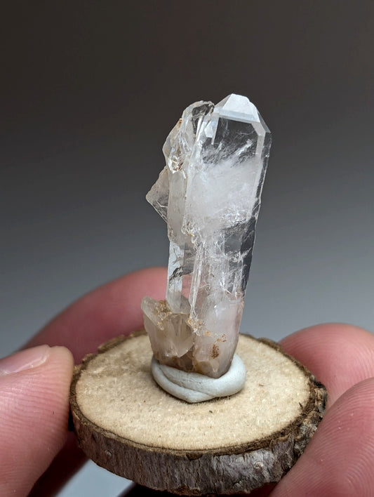 Unique Faden Quartz Crystal, Montgomery County, Arkansas, USA, w/ wood mount