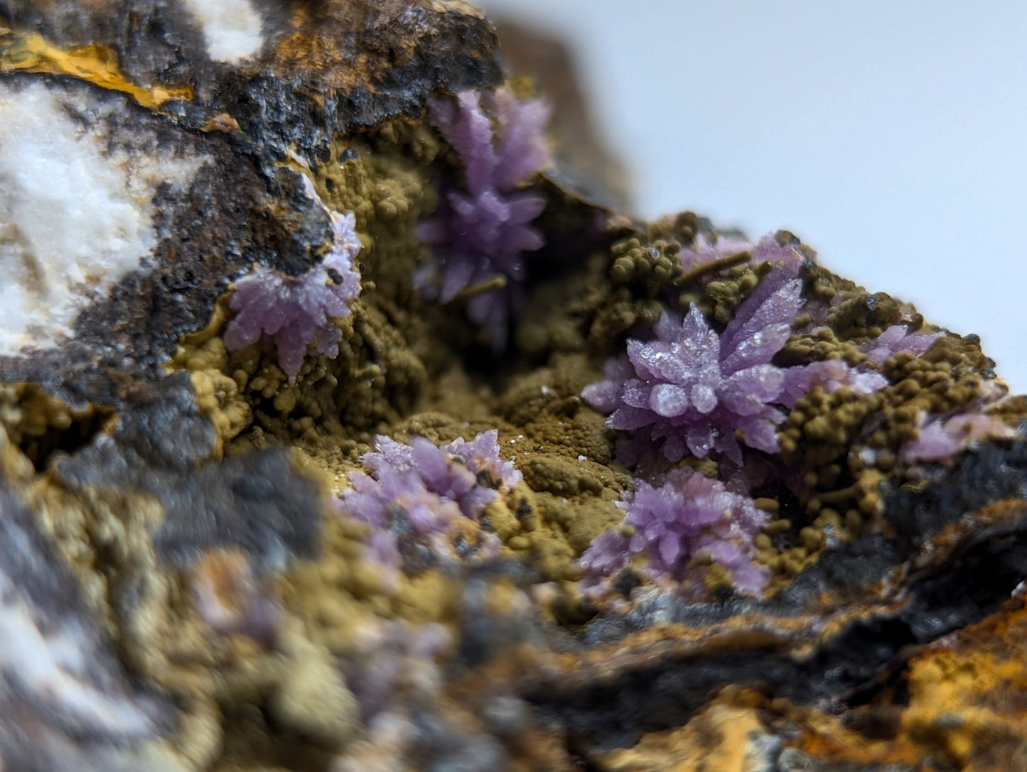 Super Rare Strengite + Kidwellite, etc, Coon Creek Mine, Polk Co, Arkansas, A+++