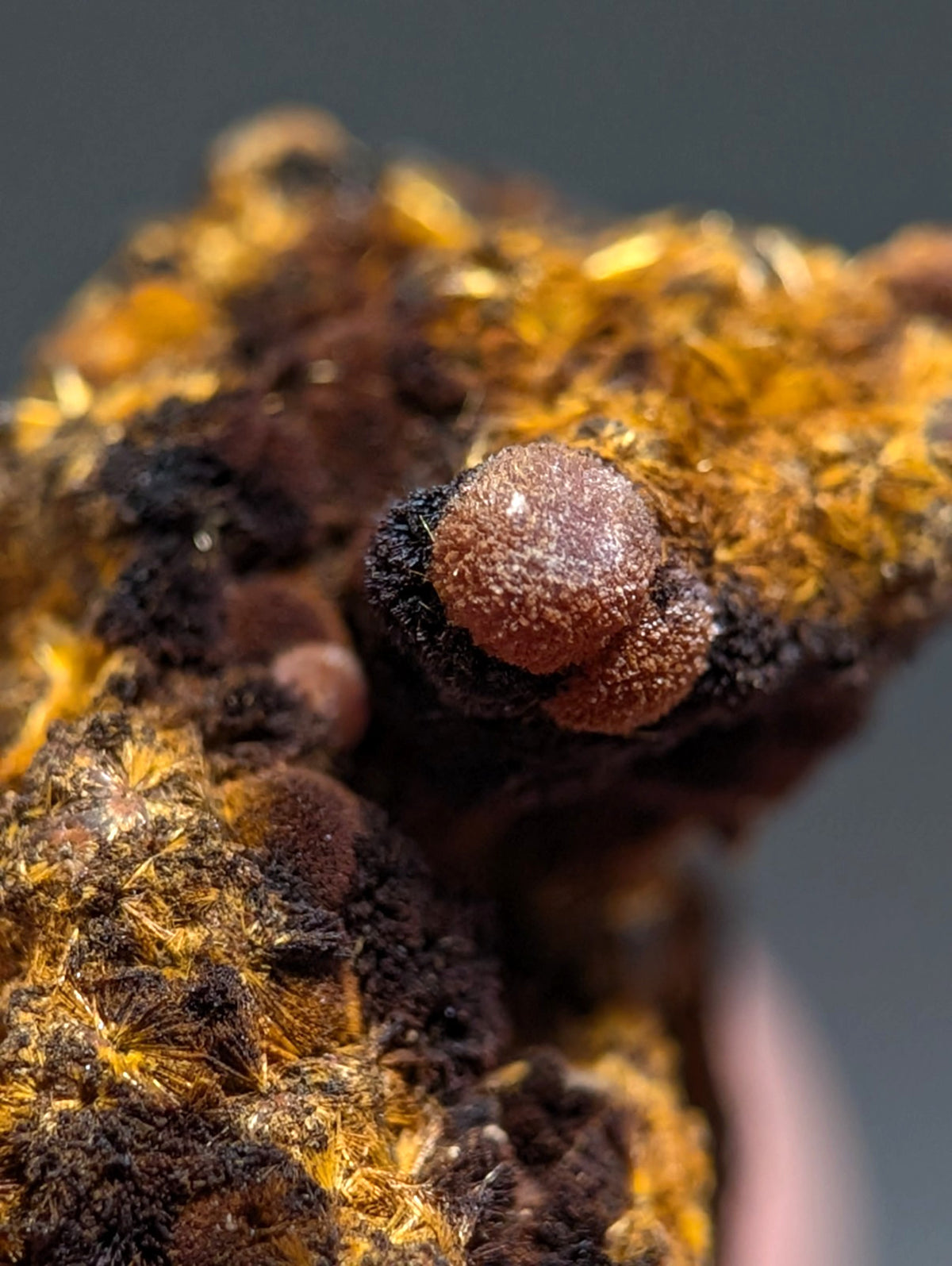 VERY RARE Strengite + Cacoxenite- Coon Creek, Polk County, Arkansas