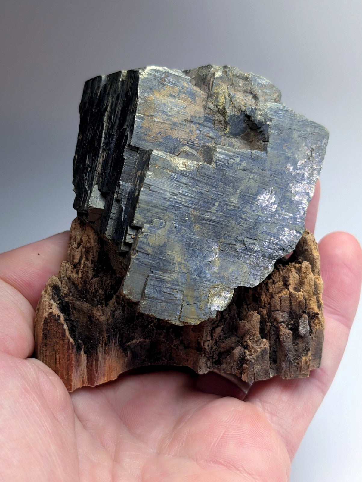 Pyrite with Molybdenum, Magnet Cove, Arkansas, USA, w/ wood display, ex Delinde