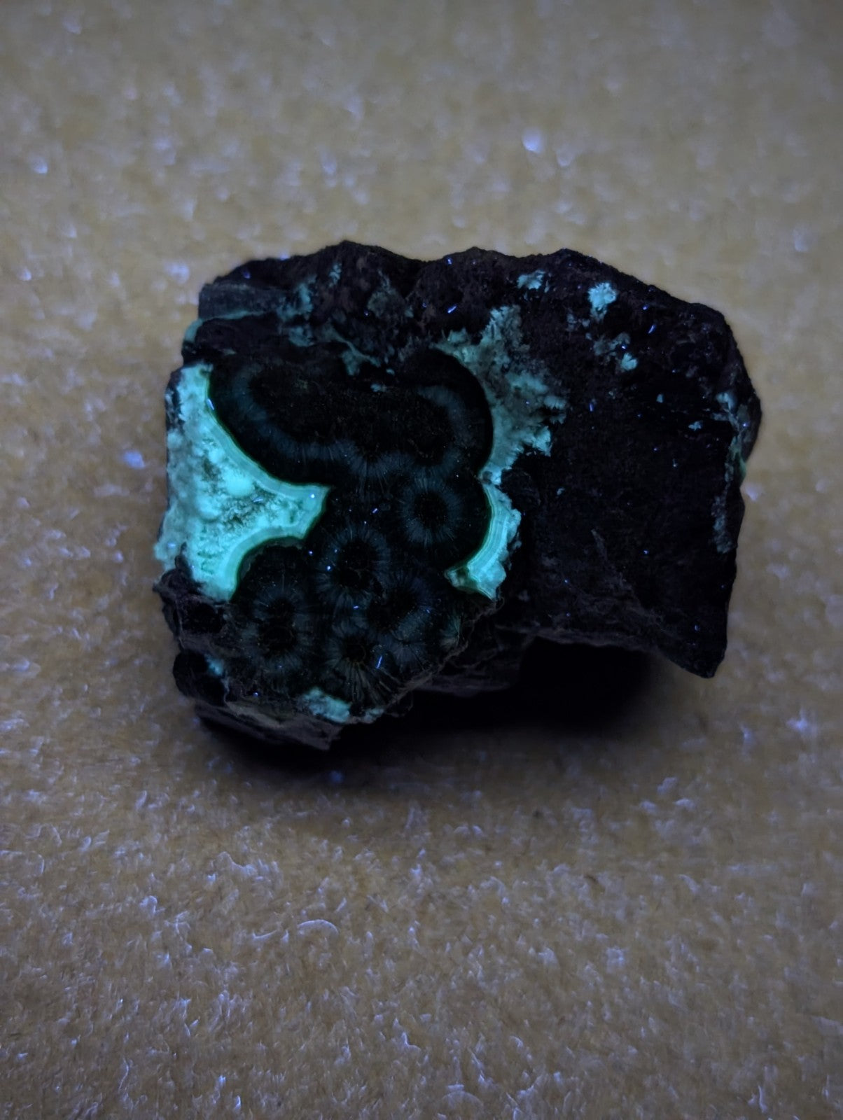 UV Reactive Wavellite - Fantastic Old Stock - Mauldin Mountain, Arkansas, Rare