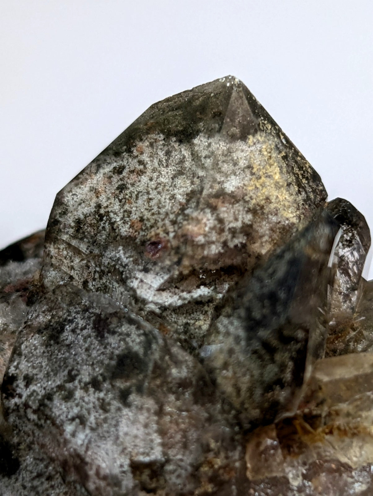 UNIQUE Phantom Quartz, w/ wood mount + photo case  - Garland County, Arkansas