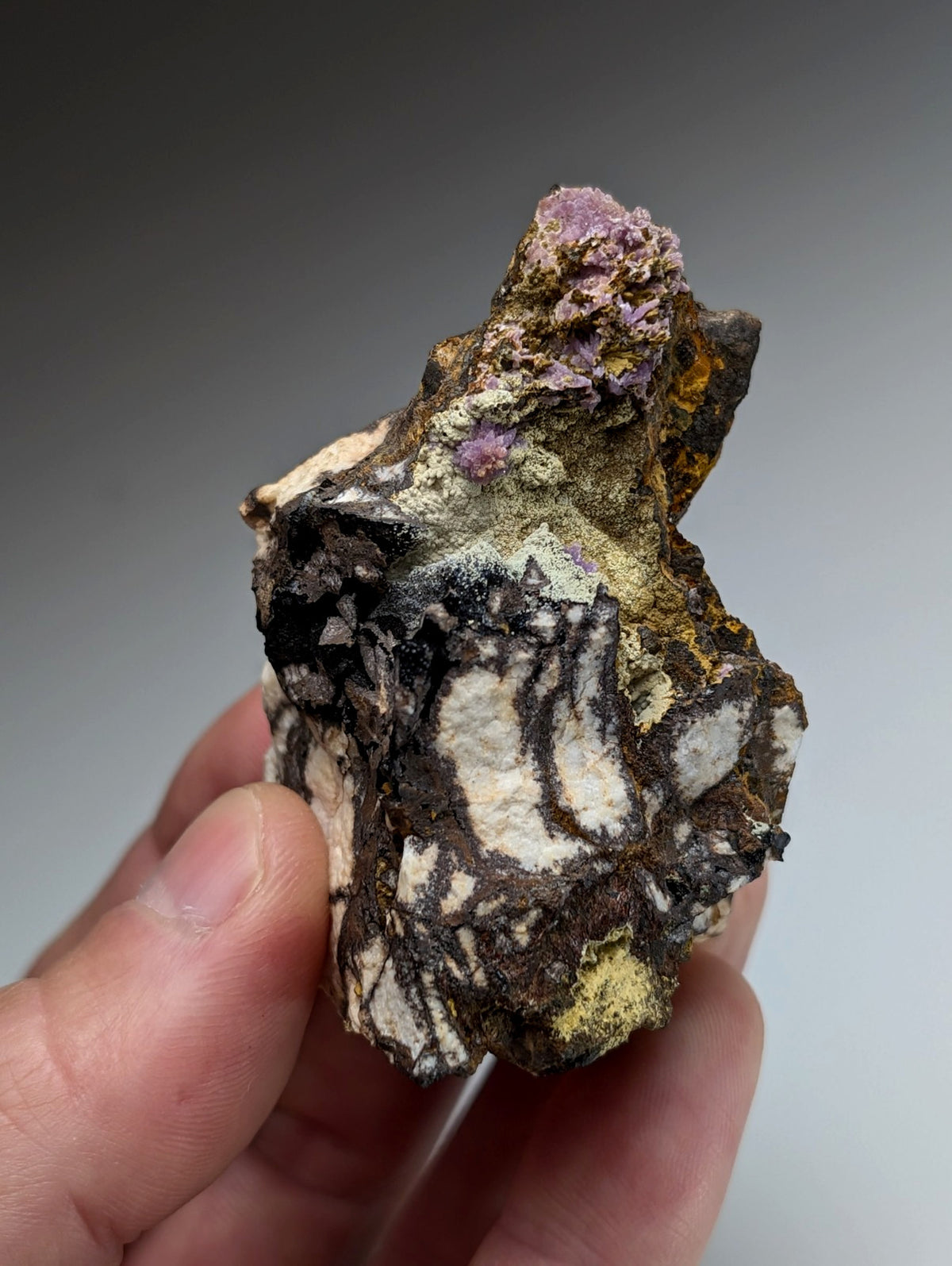 Super Rare Strengite + Kidwellite, etc, Coon Creek Mine, Polk Co, Arkansas, A+++