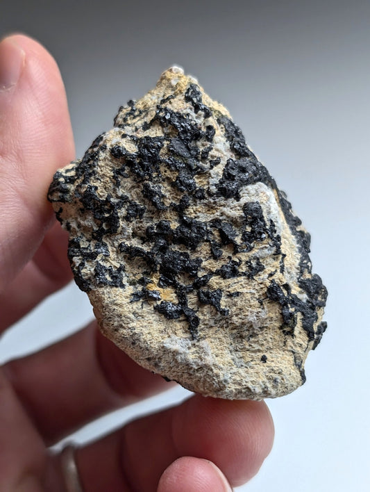 Garnet on Syenite matrix, Magnet Cove, Hot Spring County, Arkansas, Old Stock