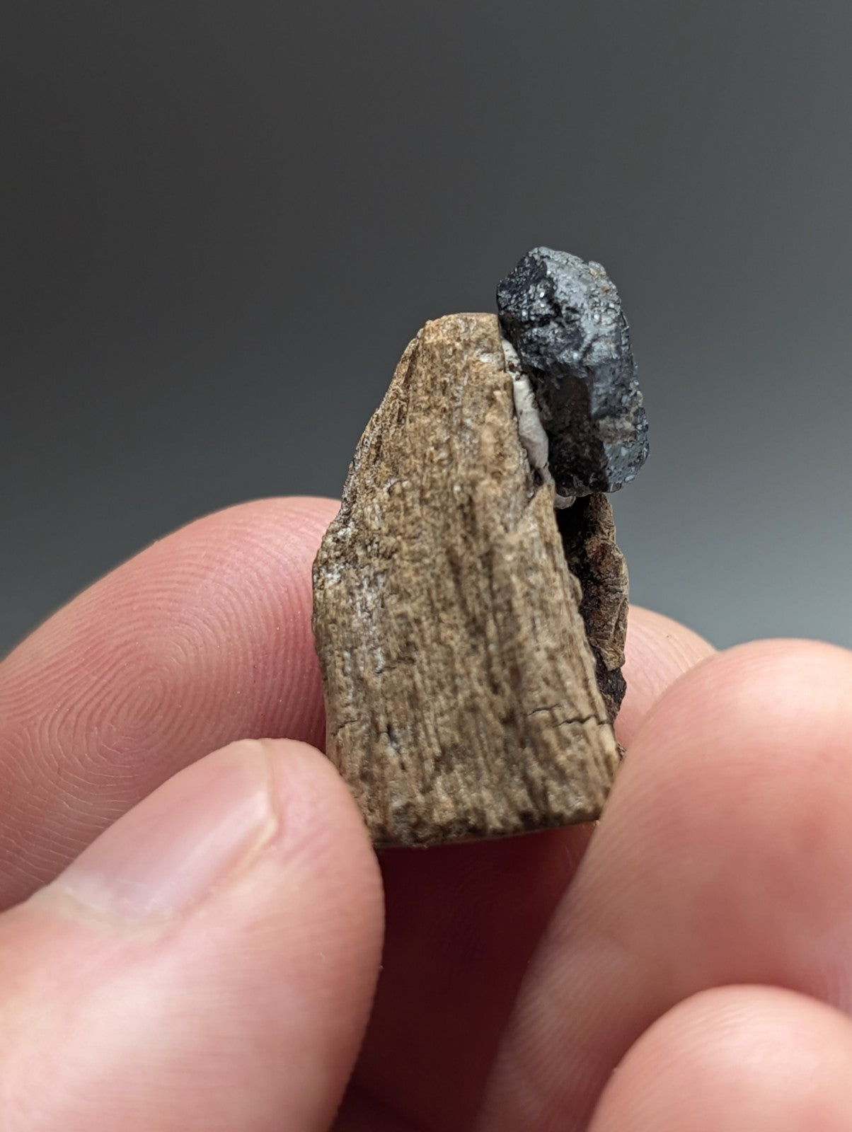 Brookite crystal, Magnet Cove, Hot Spring Co. Arkansas, Old Stock, + wood stand