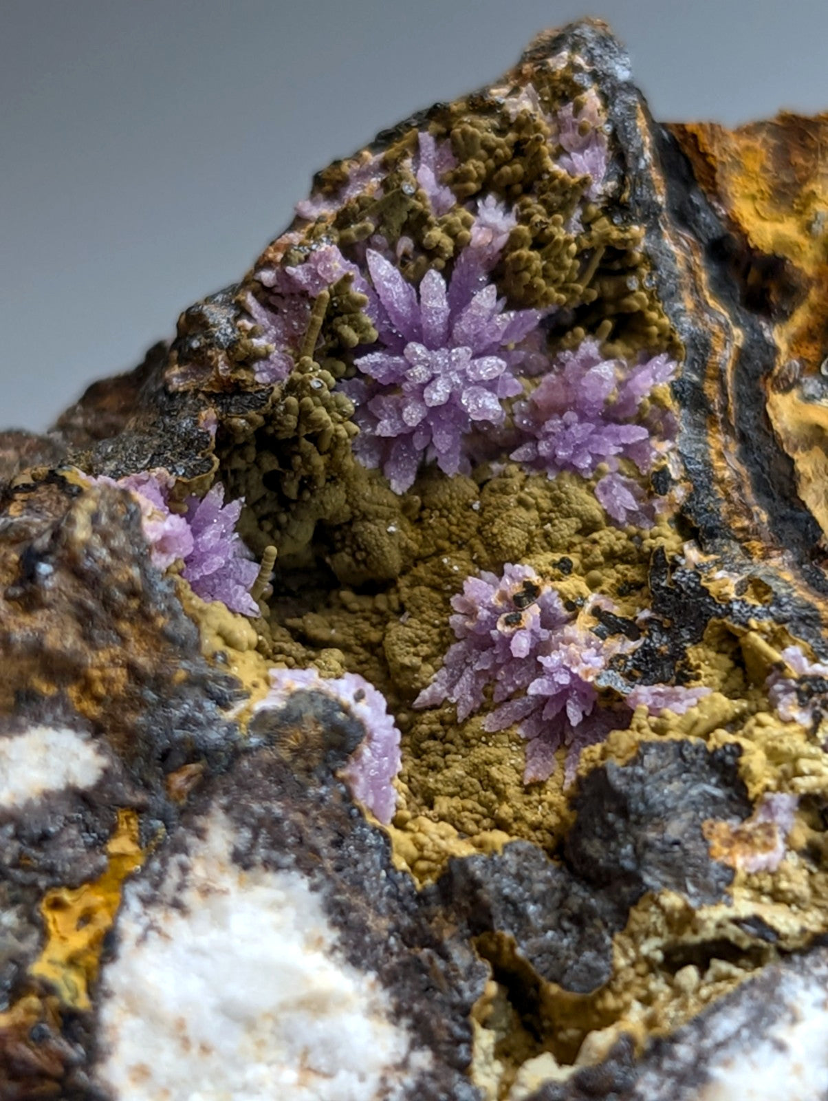 Super Rare Strengite + Kidwellite, etc, Coon Creek Mine, Polk Co, Arkansas, A+++