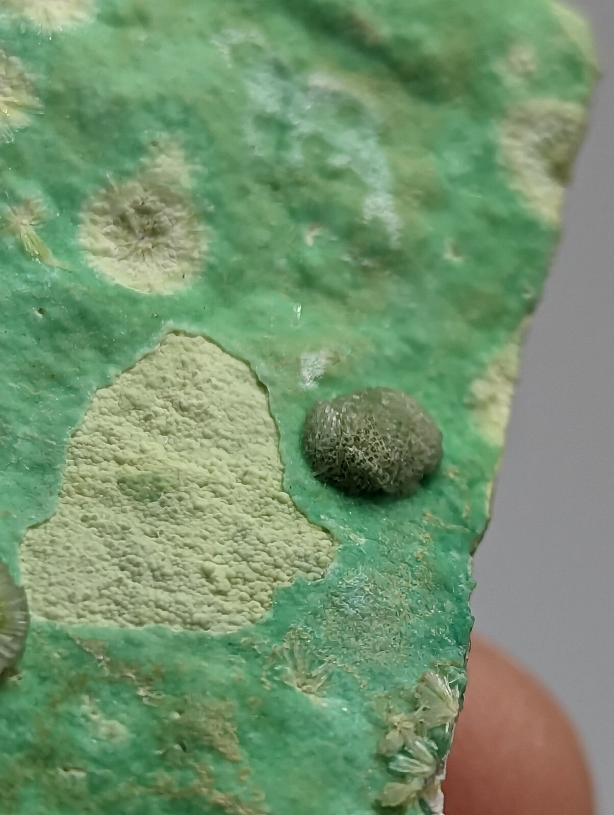 Rare Wavellite Smile Face on Variscite - Old Stock - Garland County, Arkansas