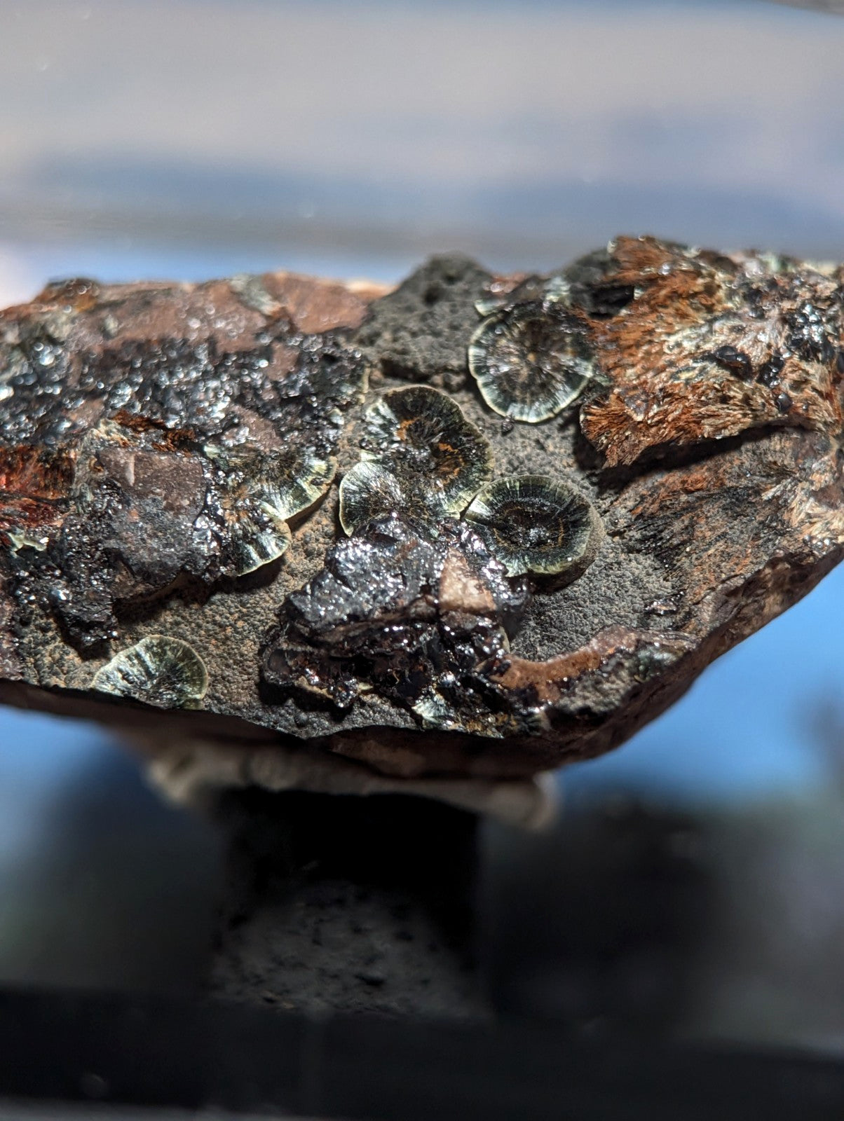 Rare Kidwellite on Novaculite - Coon Creek, Polk County, Arkansas, w/ photo case