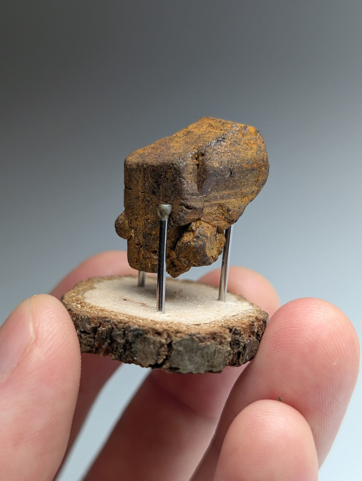 Goethite after Pyrite Pseudomorph, Magnet Cove, Arkansas,  w/ natural wood stand