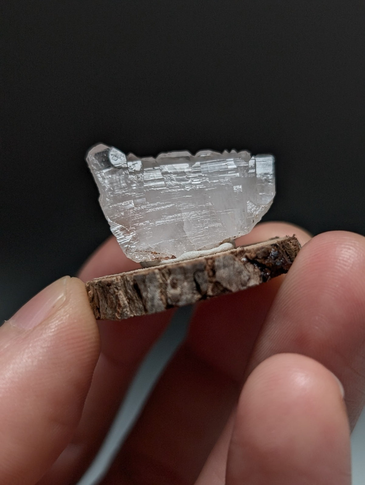 Parallel Growth Quartz Crystal, Montgomery County, Arkansas, w/natural wood base