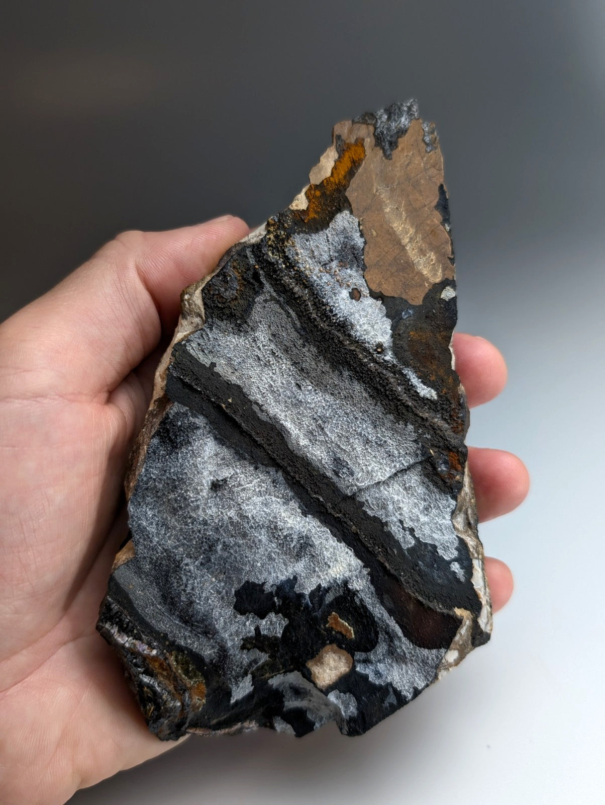 Super Rare Opal-AN, Strengite, Cacoxenite, Coon Creek Mine, Polk Co. Arkansas