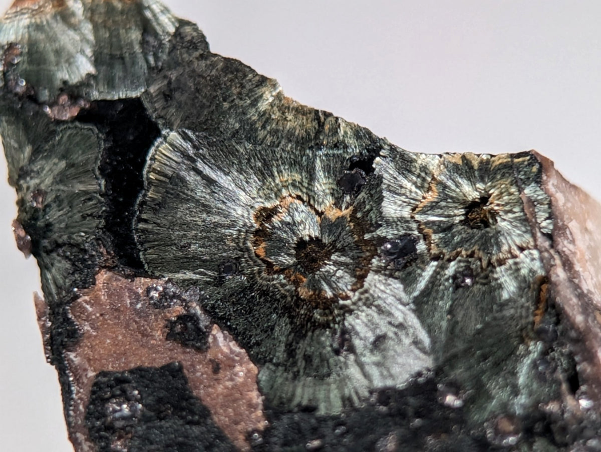 Rare Kidwellite specimen - Coon Creek Mine, Polk County, Arkansas, USA