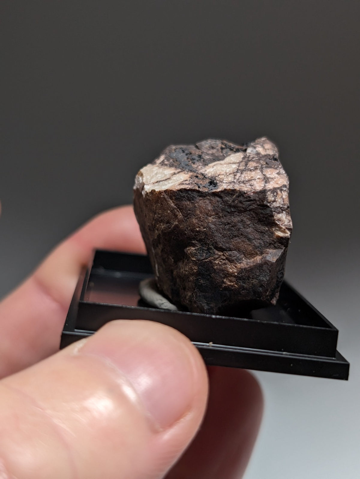 Rare Strengite + Kidwellite- Coon Creek, Polk County, Arkansas, w/ photo case