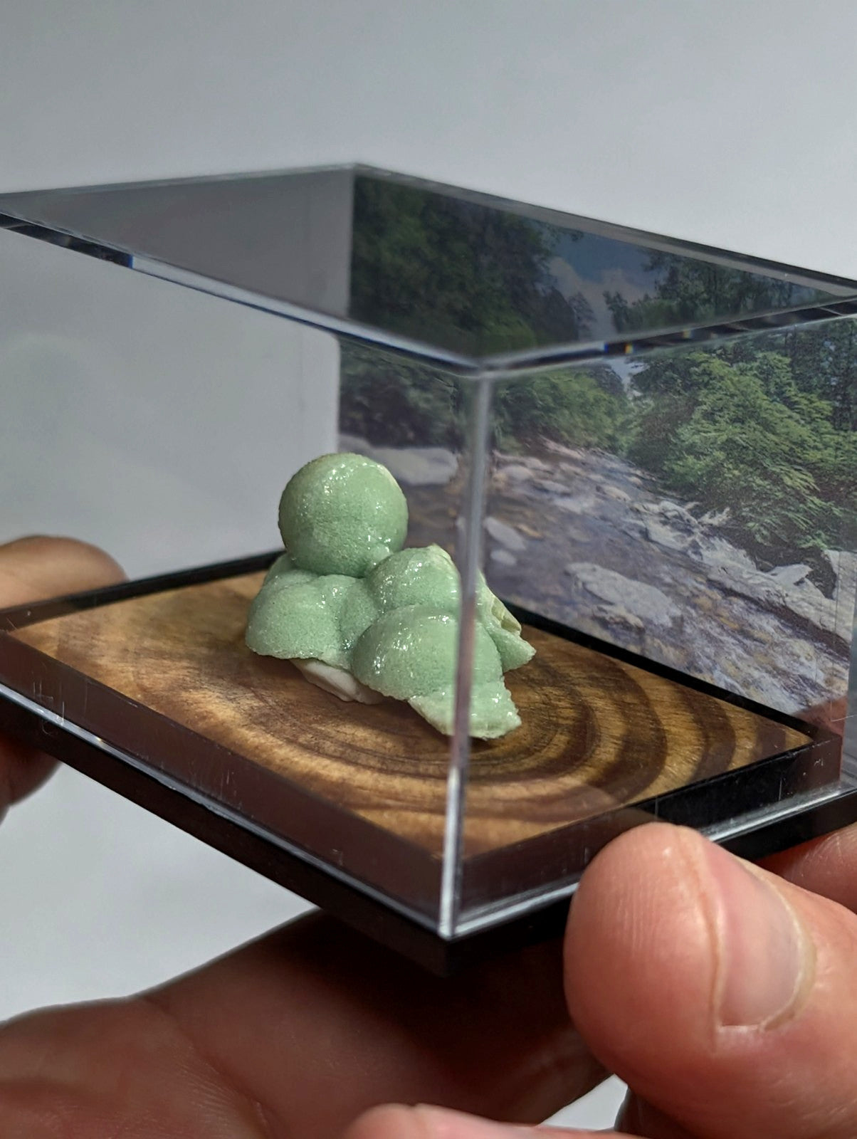 Wavellite, w/ wood mount + photo case - Old Stock - Montgomery County, Arkansas