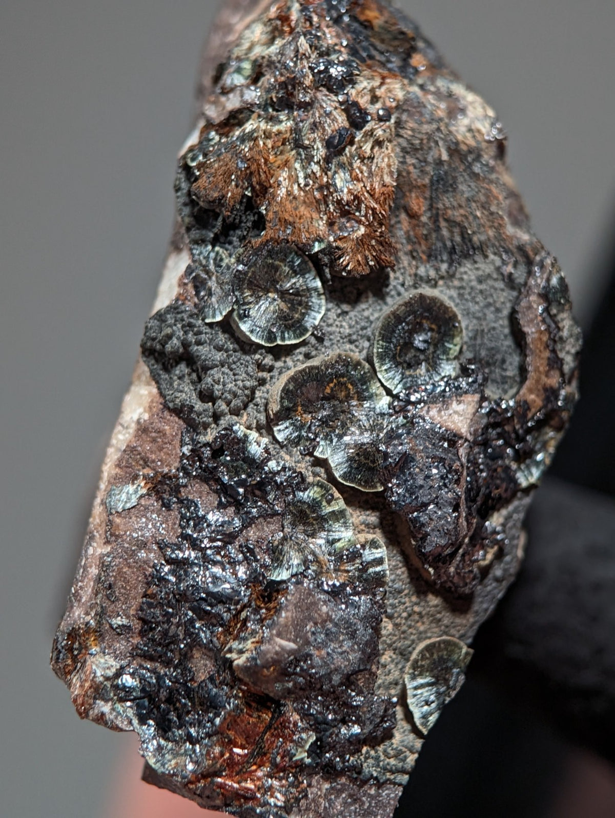 Rare Kidwellite on Novaculite - Coon Creek, Polk County, Arkansas, w/ photo case