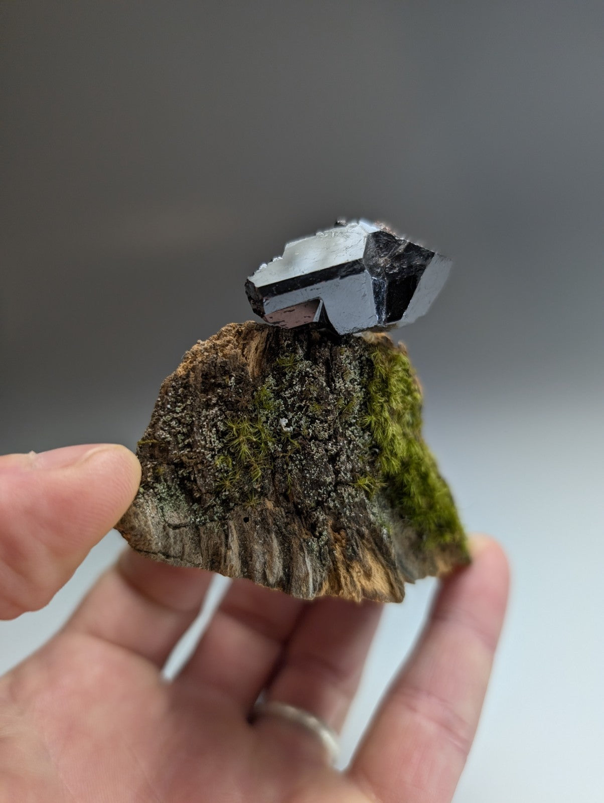 A+ Twinned Rutile Crystal, Graves Mountain, Georgia, USA,  Rare Old Stock