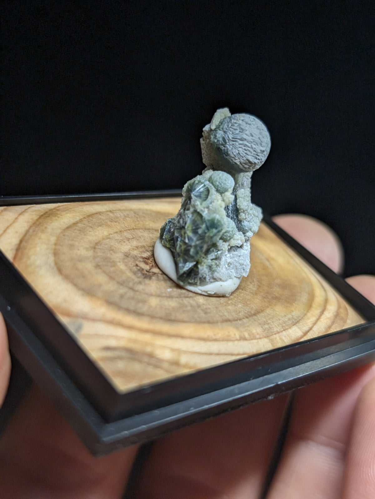 Blue-Green Wavellite, w/ wood mount + photo case - Garland County, Arkansas