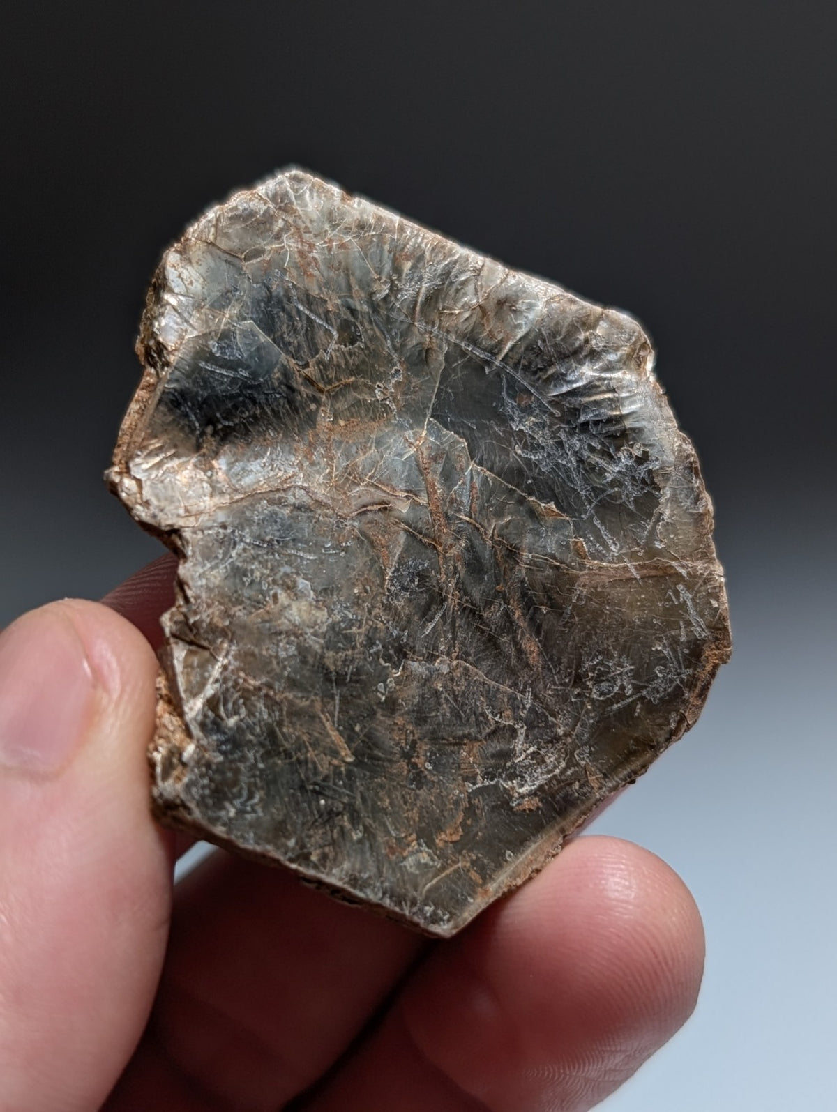 Green/Brown Mica, Magnet Cove, Hot Spring County, Arkansas, USA,Ex Henry Delinde