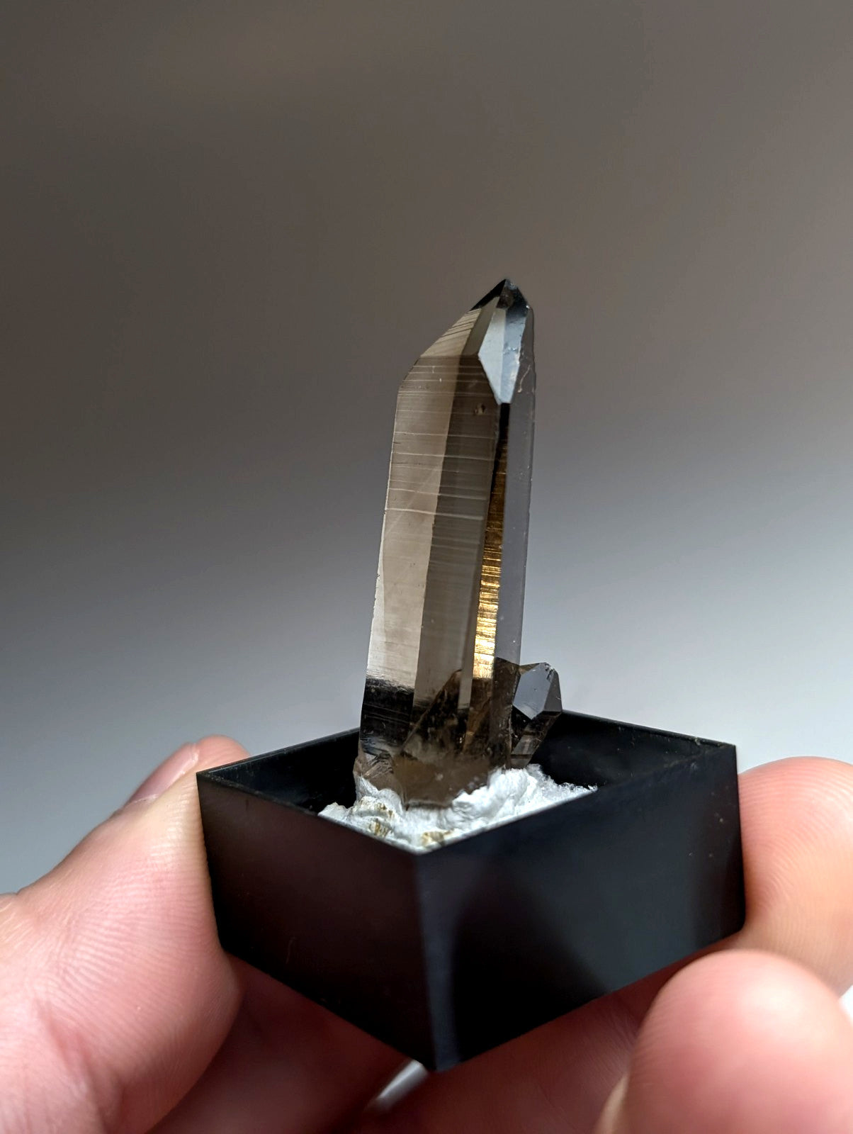 A+ Irradiated Smoky Quartz Crystal Point, Garland County, Arkansas, USA, Delinde