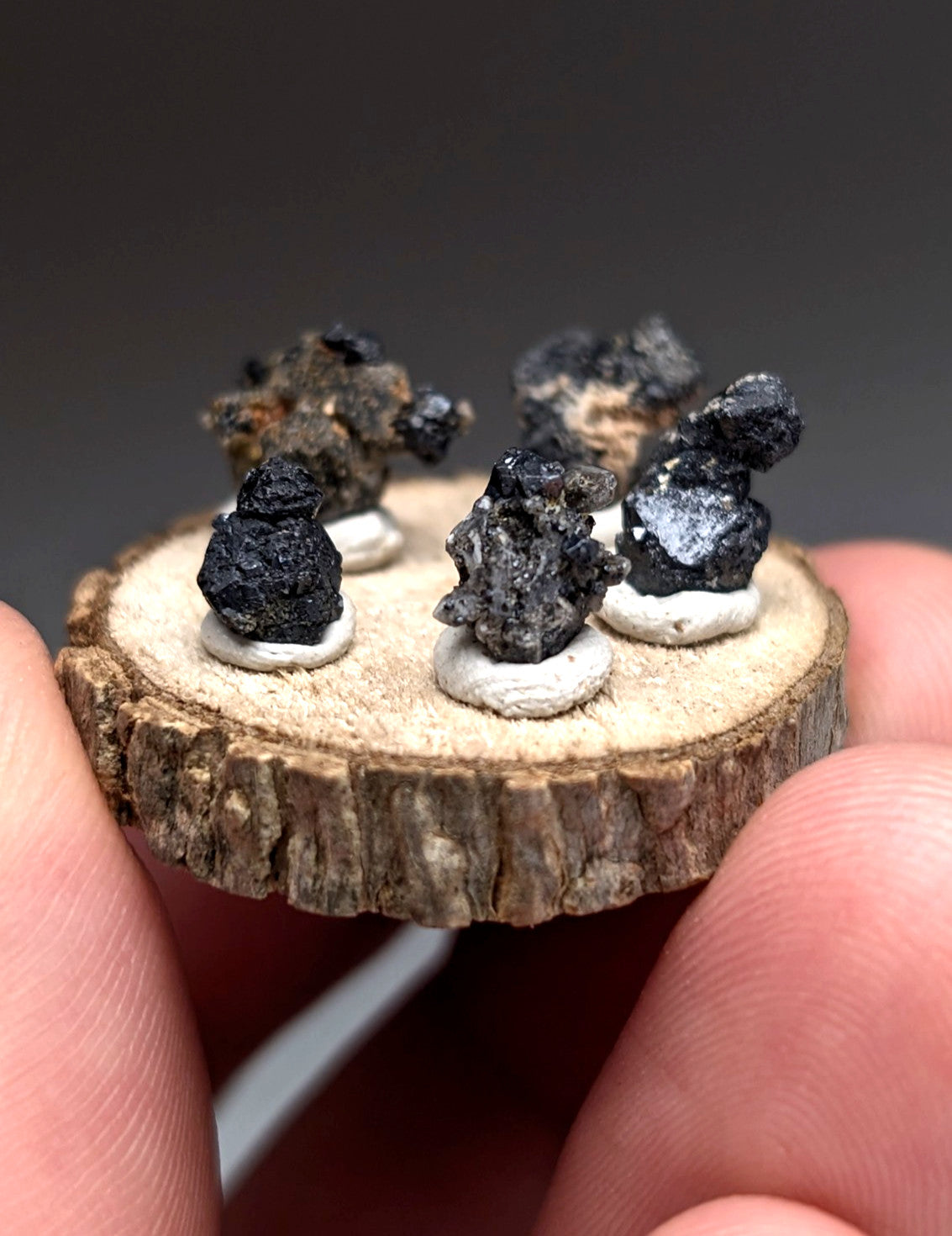 Set of 5 Brookite + Smoky Quartz, Magnet Cove, Arkansas, Old Stock, + wood stand