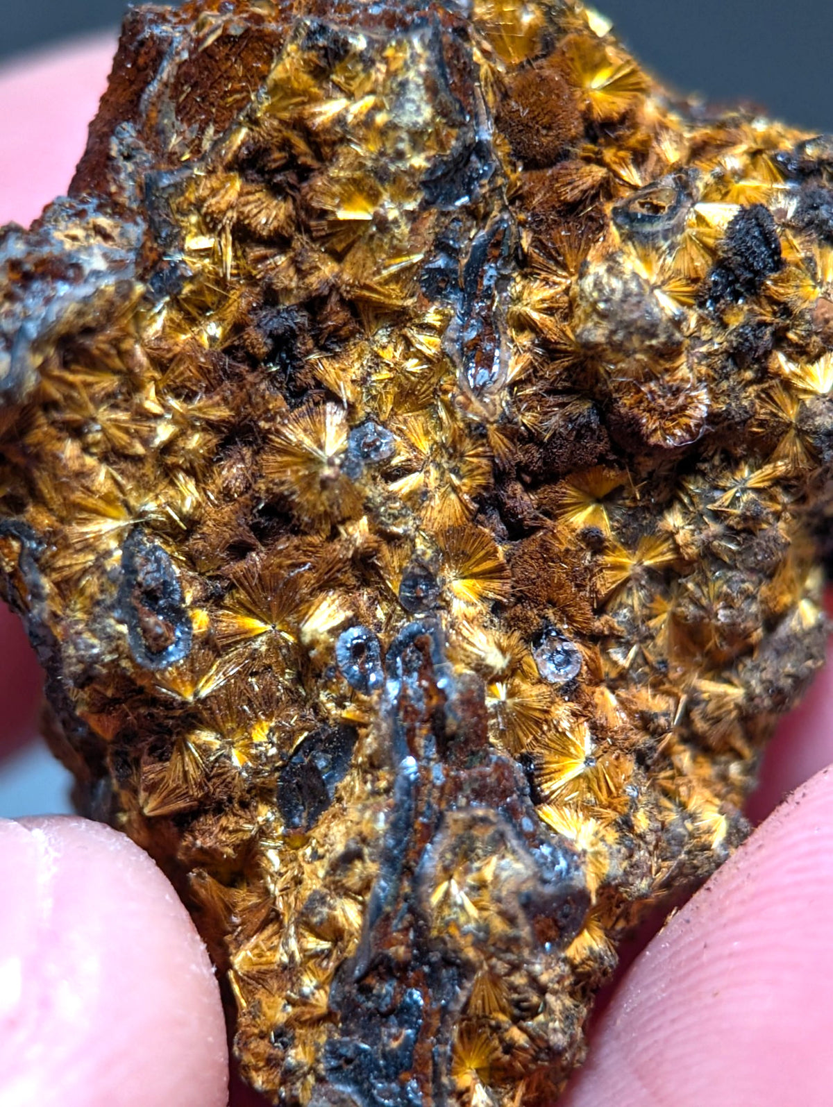 VERY RARE Strengite + Cacoxenite- Coon Creek, Polk County, Arkansas