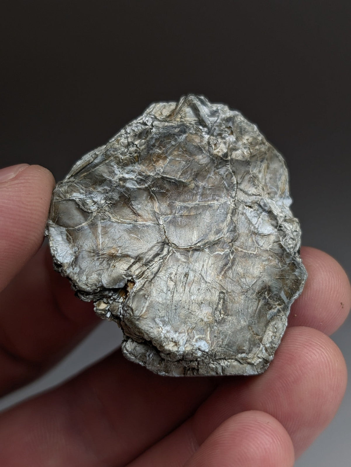 Green Mica, Magnet Cove, Hot Spring County, Arkansas, Unique Old Stock