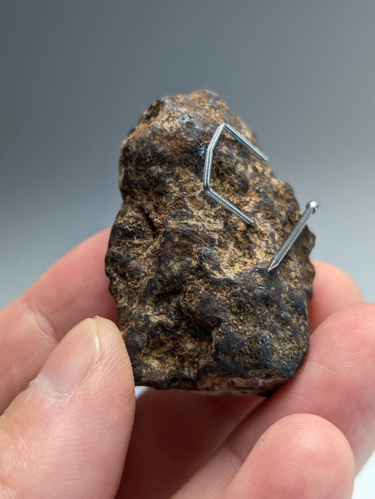 Magnetite (lodestone), Magnet Cove, Hot Spring County, Arkansas, Natural Magnet!