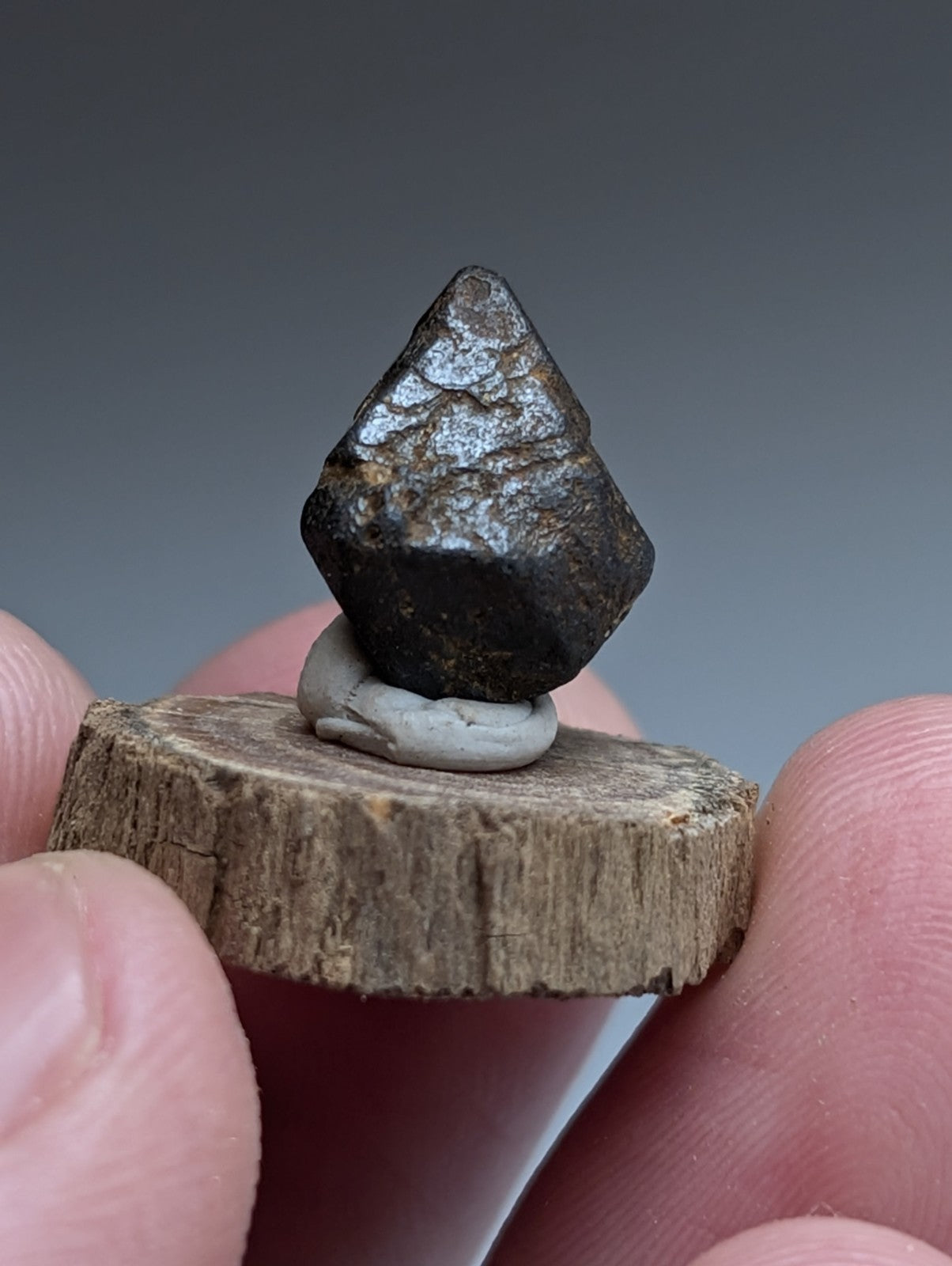 Magnetite Crystal, Magnet Cove Igneous Complex, Arkansas, Old Stock, +wood stand