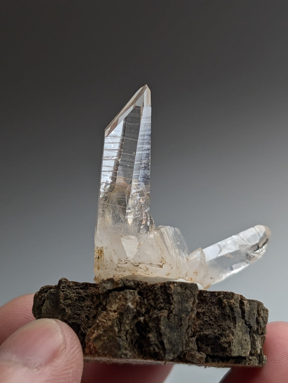 A+ Quartz Cluster, Old Stock, Montgomery County, Arkansas, w/ natural wood base