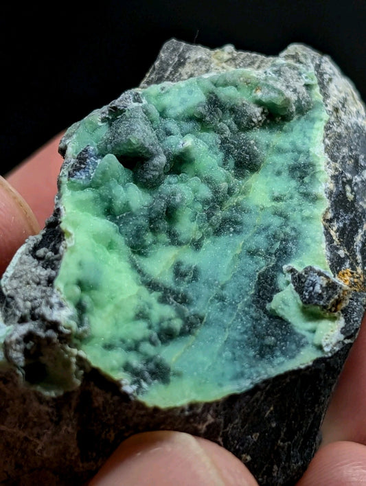Variscite on Chert from Mauldin Mountain, Montgomery County Arkansas - Unique!!