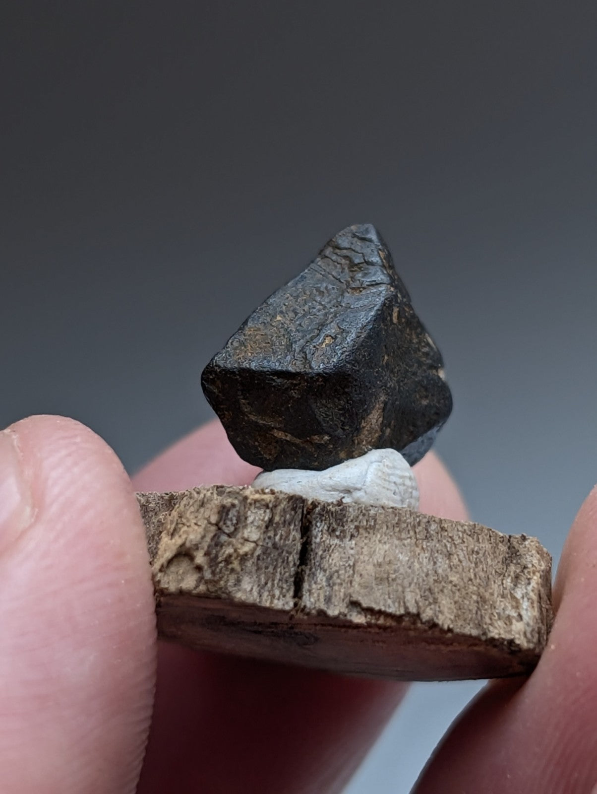 Magnetite Crystal, Magnet Cove Igneous Complex, Arkansas, Old Stock, +wood stand