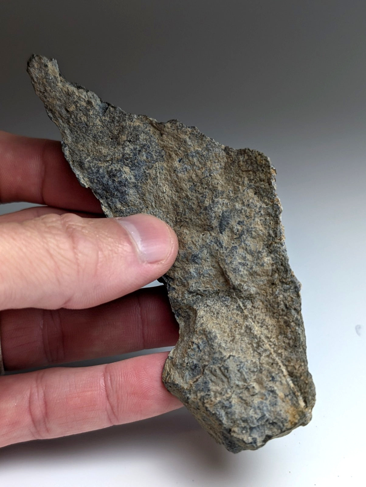 Jacupirangite, Magnet Cove, Hot Spring County, Arkansas, Unique Old Stock