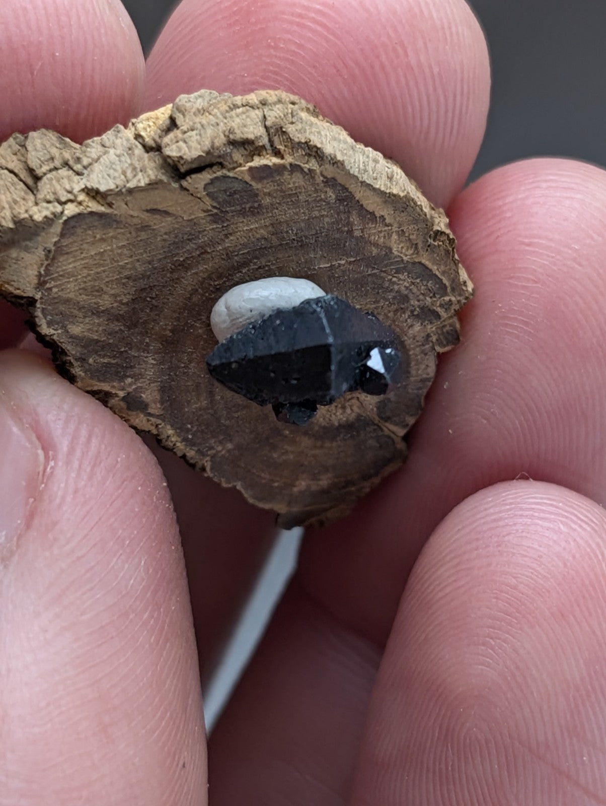 A+ Brookite Crystal, Magnet Cove, Arkansas, Old Stock, + wood stand