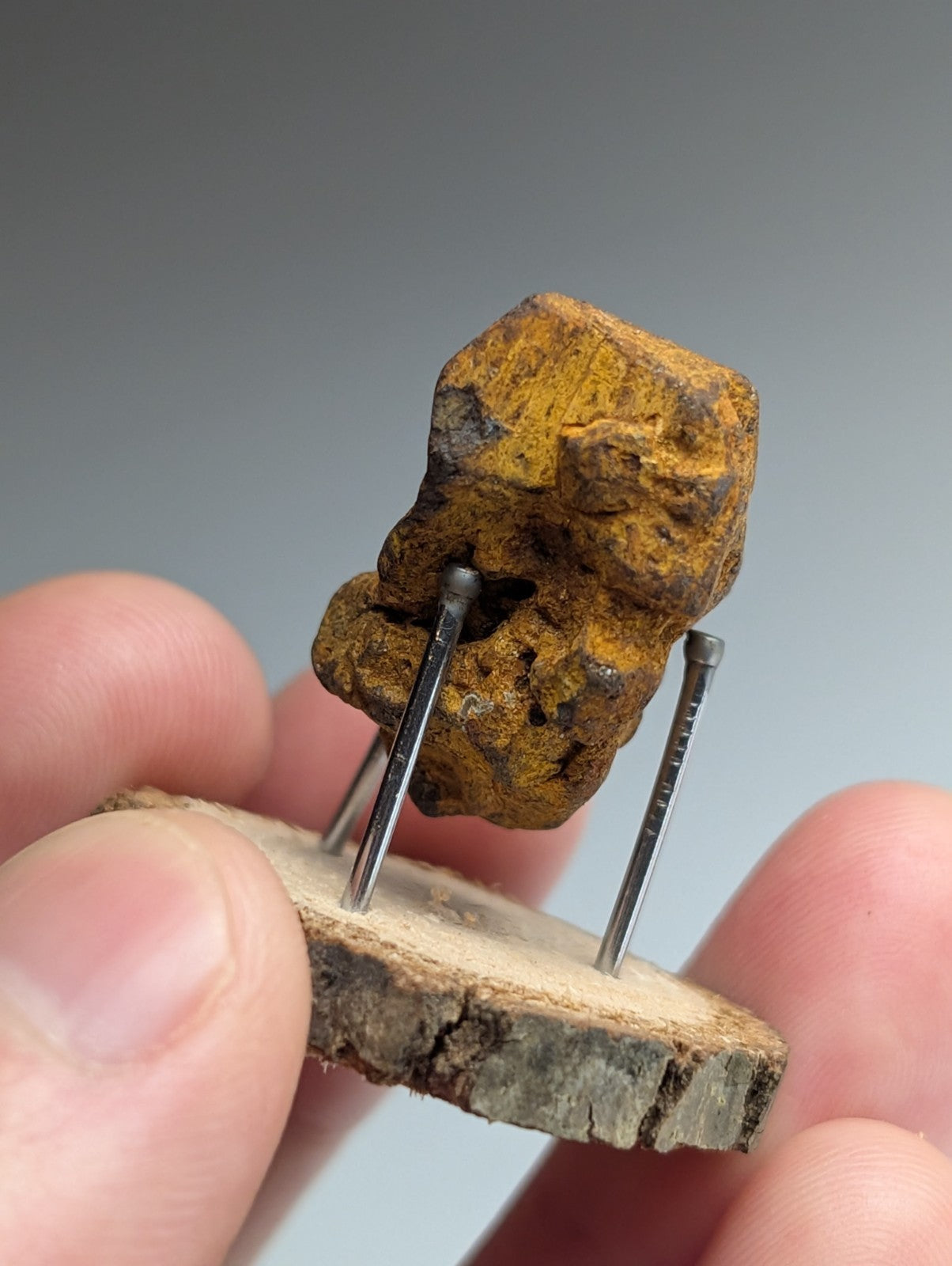 Goethite after Pyrite Pseudomorph, Magnet Cove, Arkansas,  w/ natural wood stand