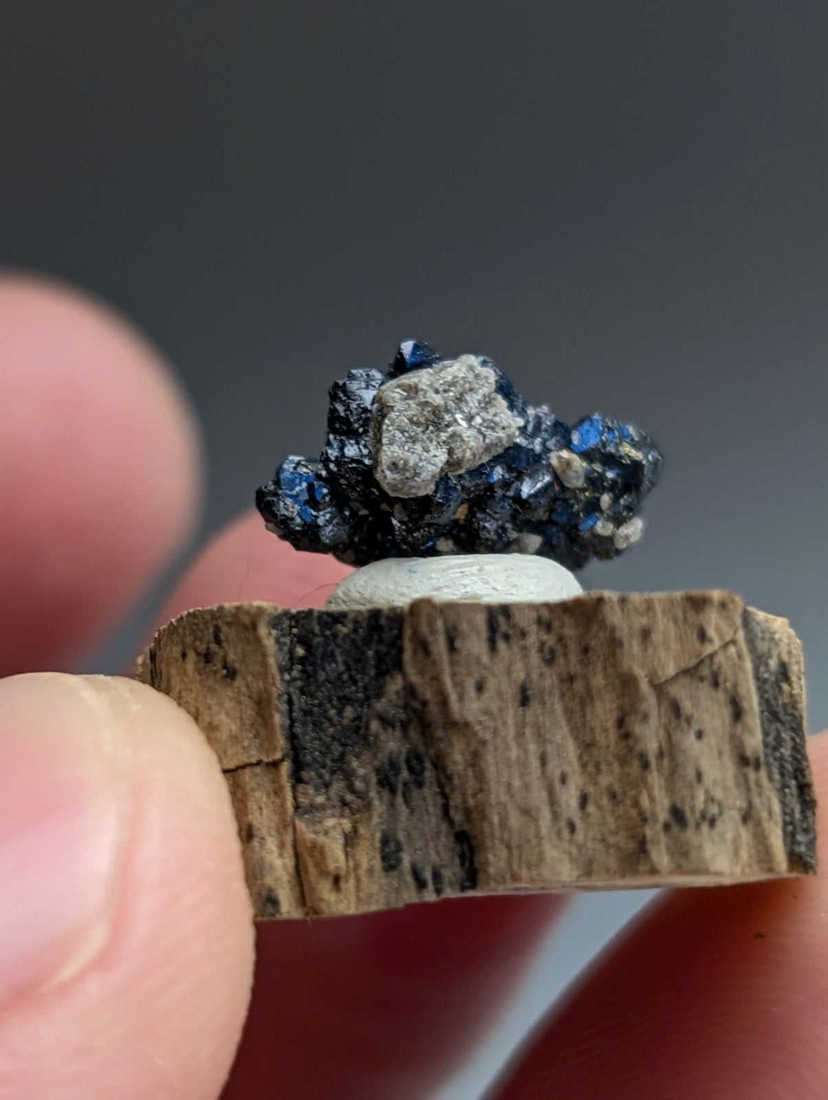 A+ Unique Brookite Crystal, Magnet Cove, Arkansas, Old Stock, + wood stand