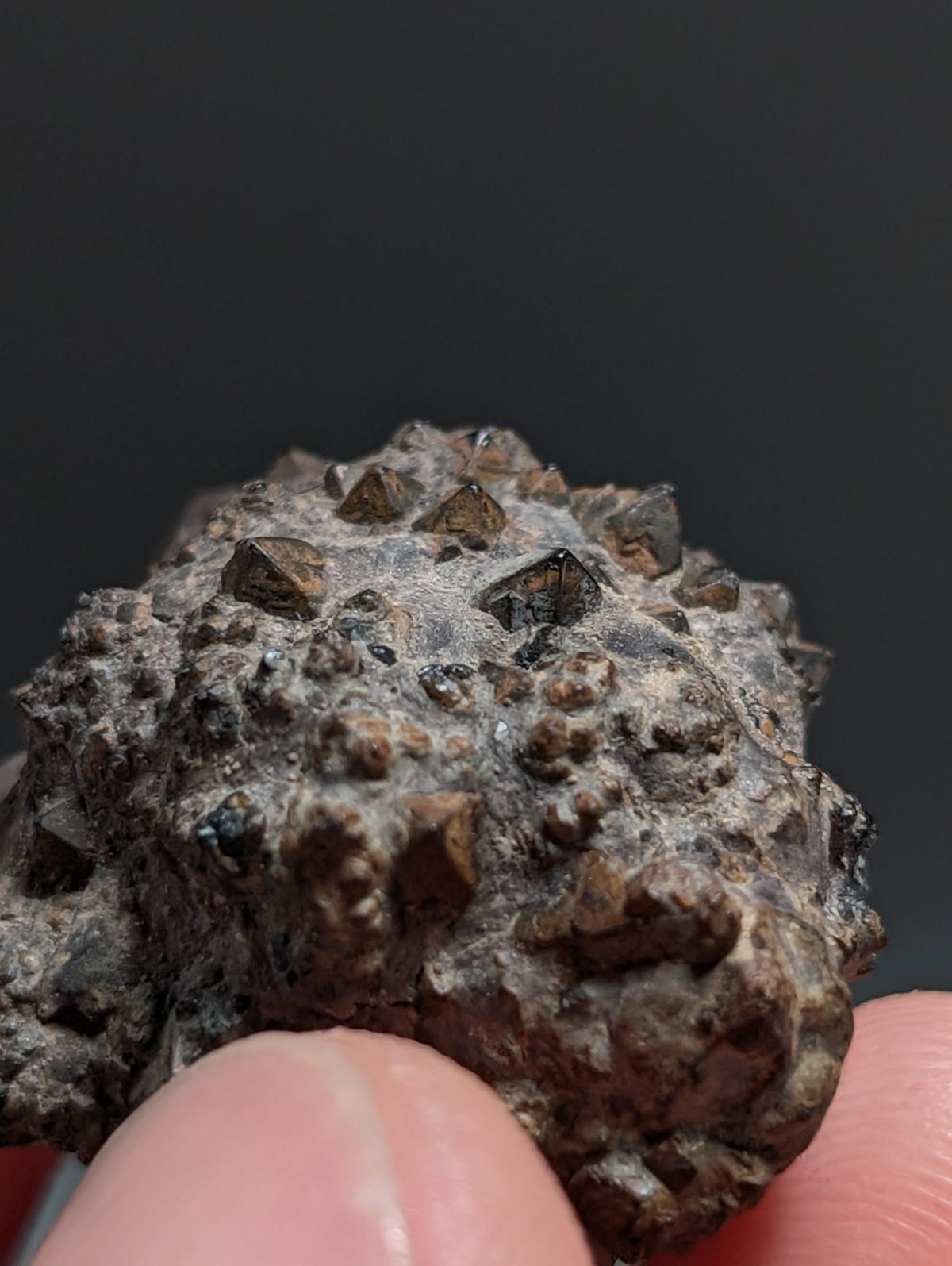 Limonite & Pyrite Pseudomorph, Benton County, Arkansas,  Ex Henry Delinde!