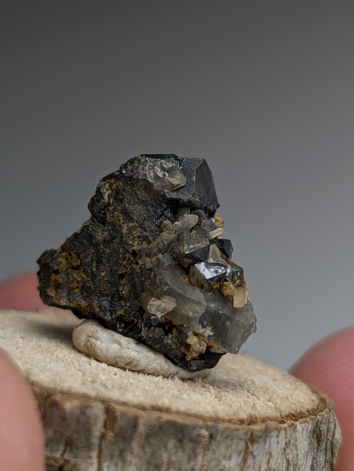 Brookite + Smoky Quartz, Magnet Cove, Arkansas, Old Stock, + wood stand