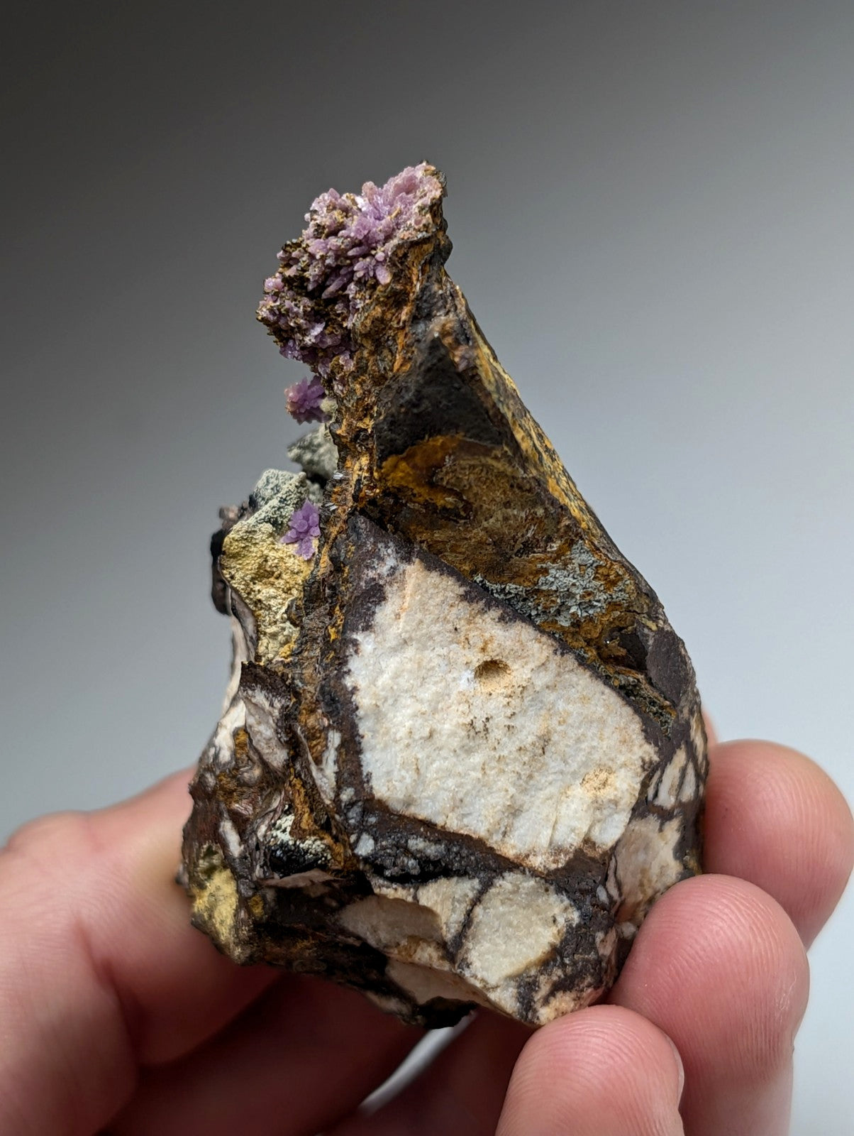 Super Rare Strengite + Kidwellite, etc, Coon Creek Mine, Polk Co, Arkansas, A+++