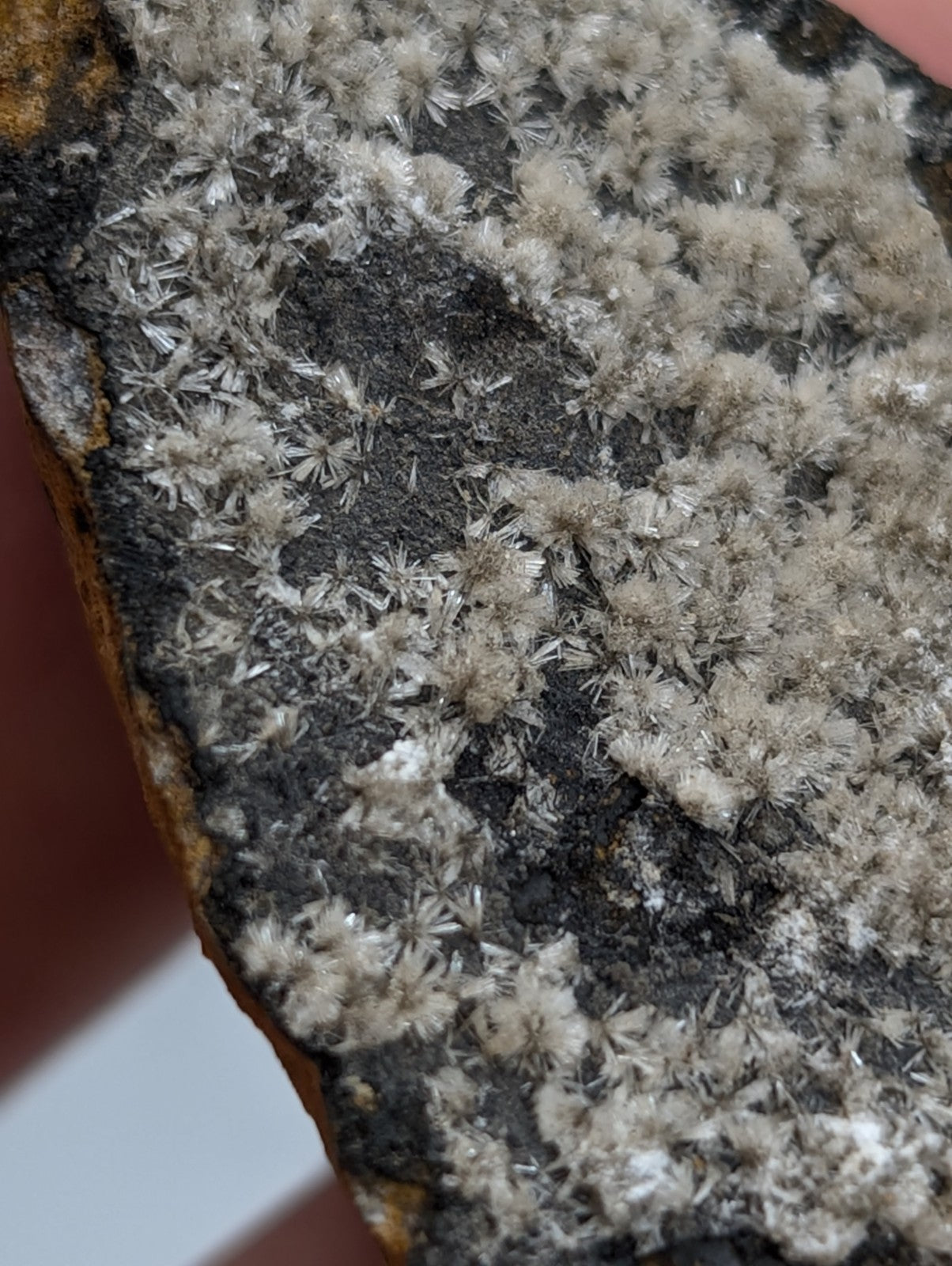 Wavellite - Potash Sulphur Springs, Garland County, Arkansas, ex Delinde, RARE