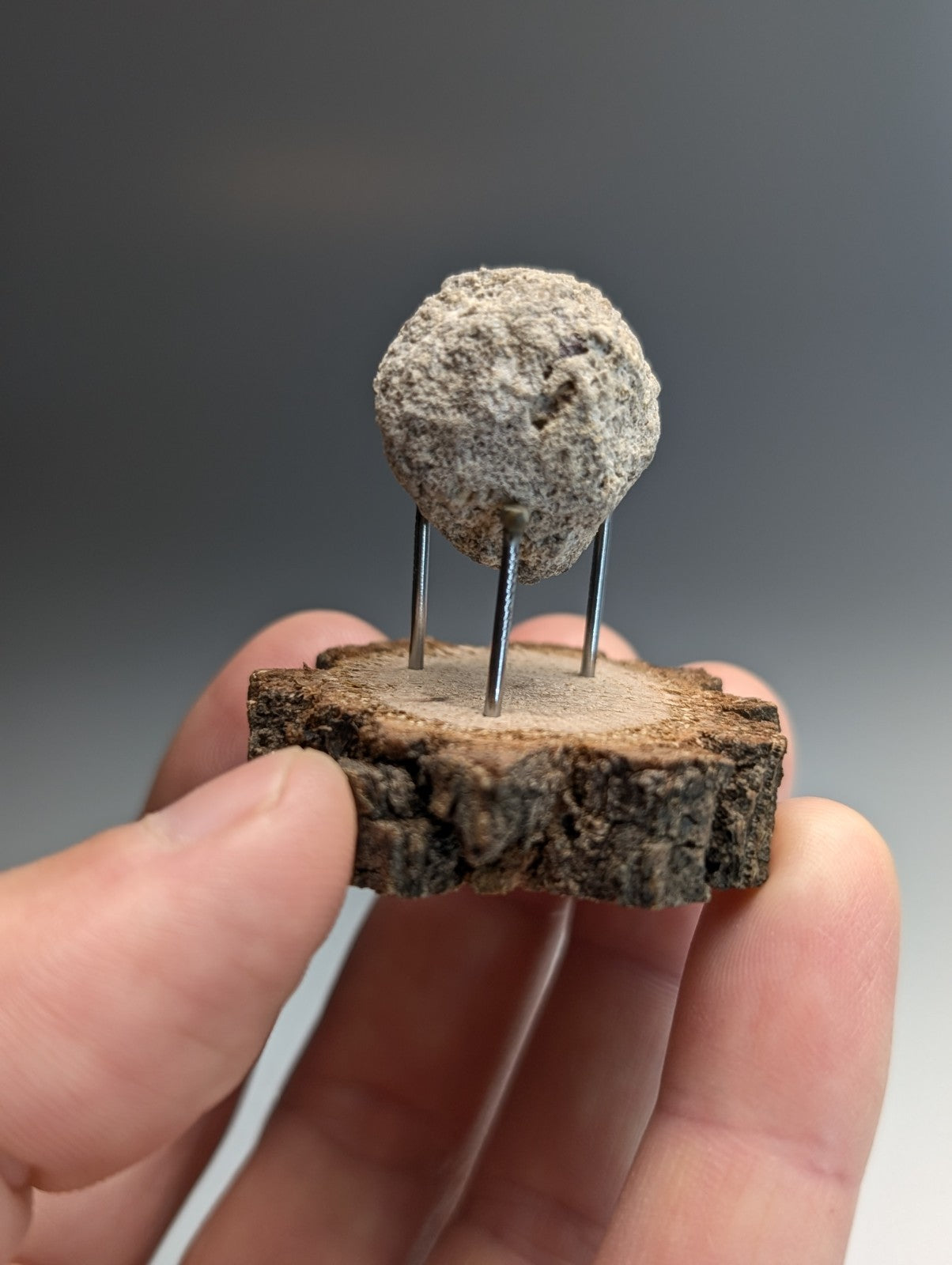 Pseudoleucite, Magnet Cove, Hot Spring County, Arkansas, Old Stock, w/wood stand
